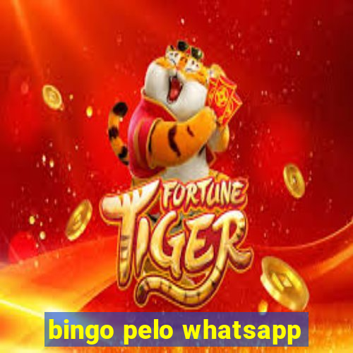 bingo pelo whatsapp